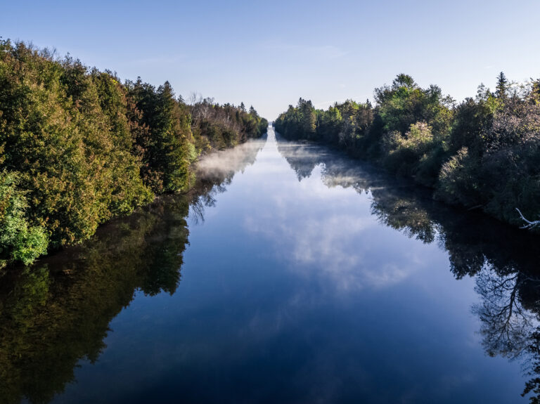 Long, straight channel with trees on either side, mist hanging over the water
