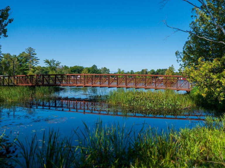 A metal bridge crosses over a quiet marsh