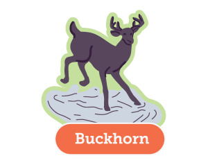 Icon of a leaping deer, labelled "Buckhorn" underneath