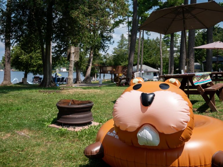 A large inflatable beaver in the foreground, with cottage grounds and lake in the background