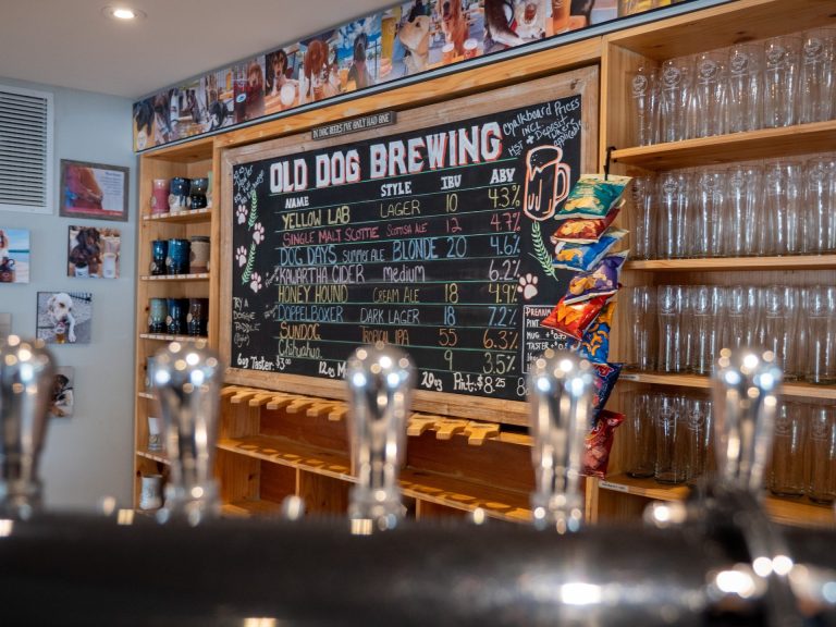 View looking between bar taps at a chalkboard reading "Old Dog Brewing"
