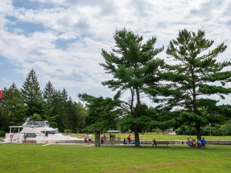 A green lawn in front of a waterway, with a boat and picnickers visible in the midground
