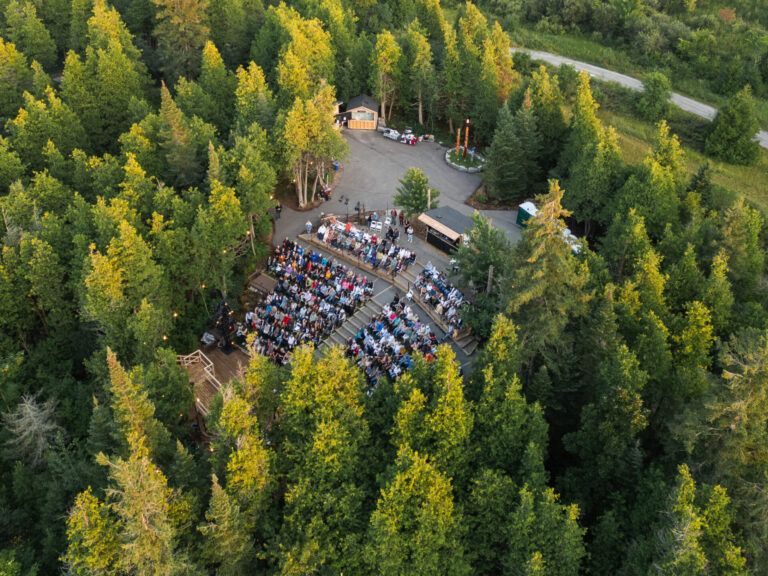 Aerial view of an outdoor amphitheatre in a wooded area