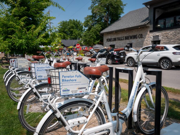 A row of white and blue bikes, with the basket branded Fenelon Falls Bikeshare
