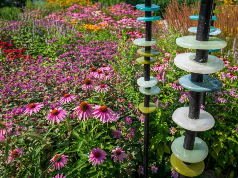 A garden of blooming purple flowers, embellished with decorative ring sculptures